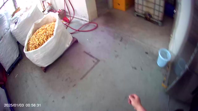 Water Filling and Planting Prep